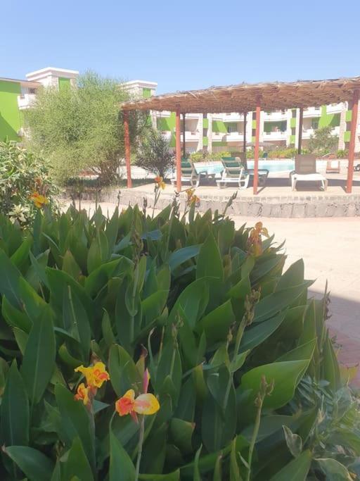 Holiday Properties Moradias Green Santa Maria Buitenkant foto