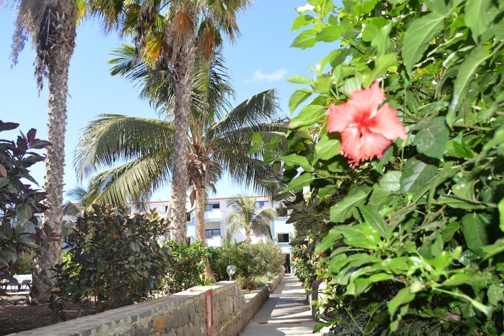 Holiday Properties Moradias Green Santa Maria Buitenkant foto